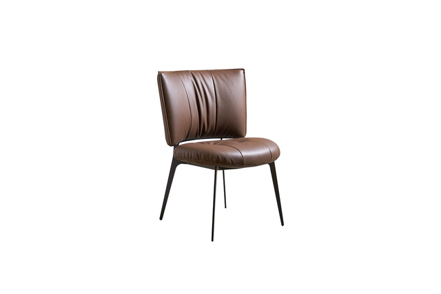 CENOTE Dining Side Chair
