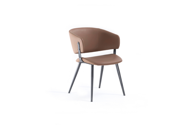 TIERRA Dining Armchair
